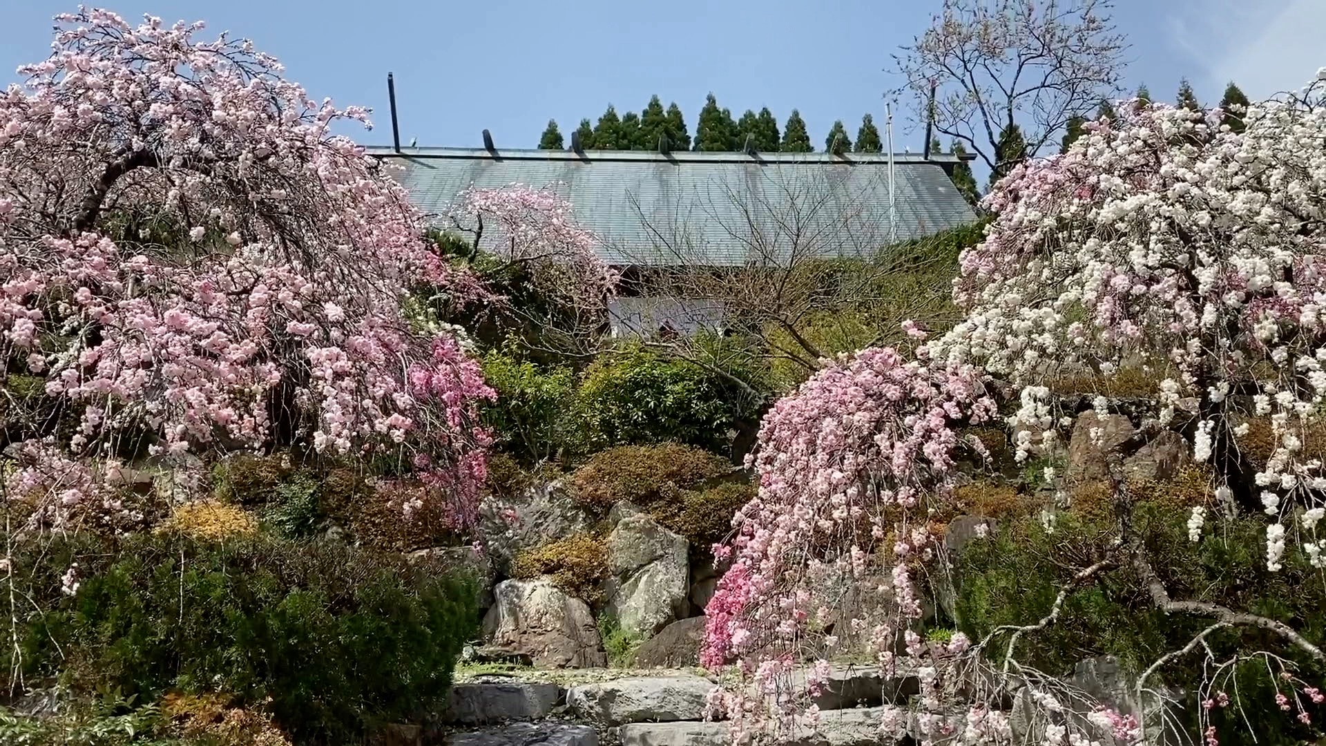 おすすめスポット